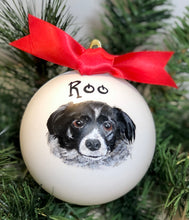 Pet Portrait Ornament
