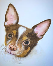 Custom Order Pet Portrait