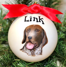 Pet Portrait Ornament