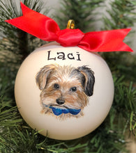 Pet Portrait Ornament