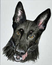 Custom Order Pet Portrait