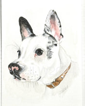 Custom Order Pet Portrait