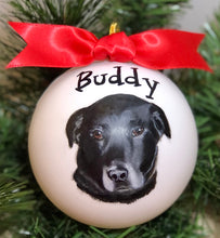Pet Portrait Ornament