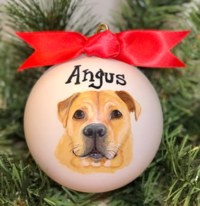 Pet Portrait Ornament