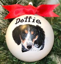 Pet Portrait Ornament