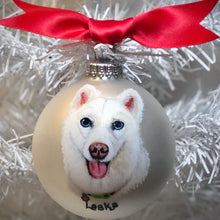 Pet Portrait Ornament