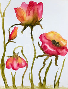 Poppy Magic watercolor canvas