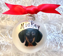 Pet Portrait Ornament