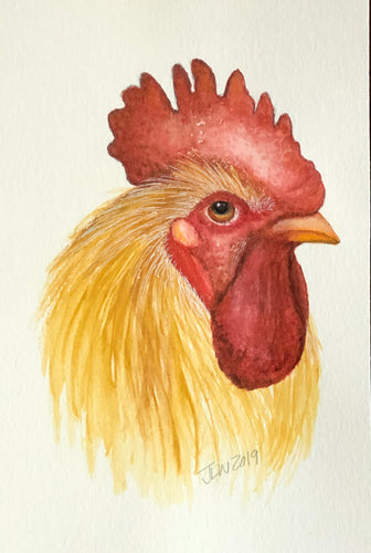Rooster Watercolor