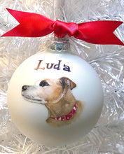 Pet Portrait Ornament
