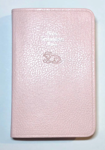 Hand Painted New Testament