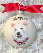 Pet Portrait Ornament