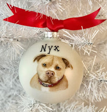 Pet Portrait Ornament